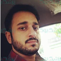 حسام ملک زاده