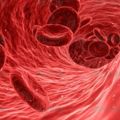 کم خونی؛ با کم خونی چه کنیم؟!